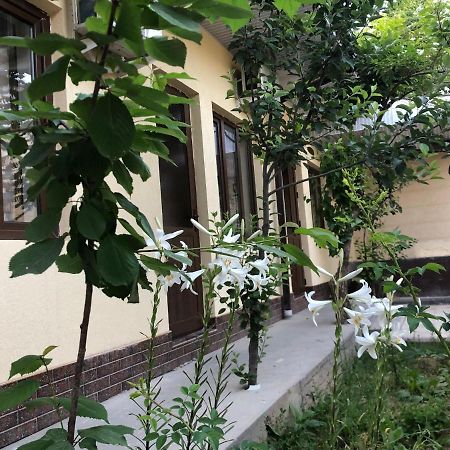 Дом Отель Бадамзар Tashkent Luaran gambar